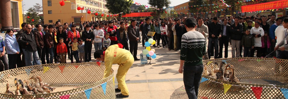 荣耀官网首页登录入口隆重举行迎新春游园活动及年夜饭活动
